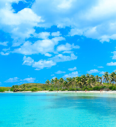 Ảnh đại diện Anguilla