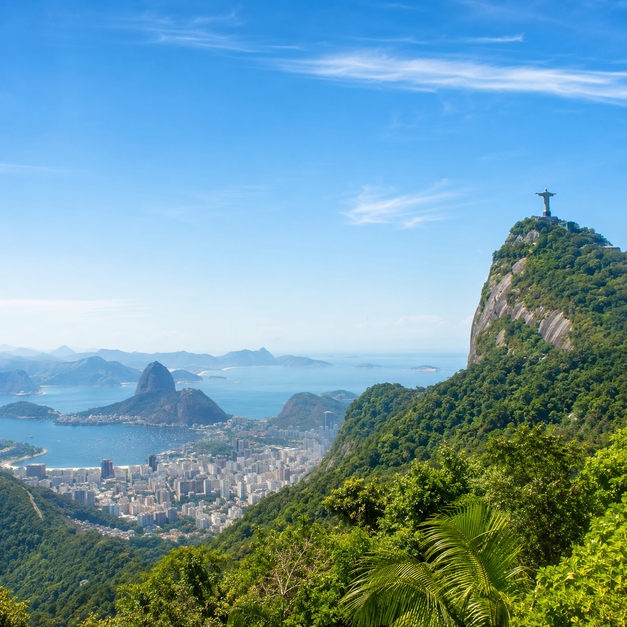 Ảnh đại diện Brazil