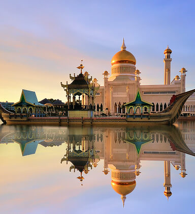 Ảnh đại diện Brunei