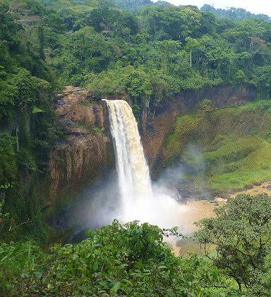 Ảnh đại diện Cameroon