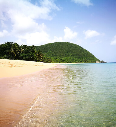 Ảnh đại diện Guadeloupe