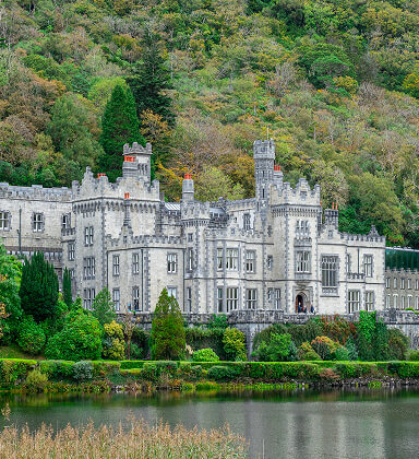 Ảnh đại diện Ireland