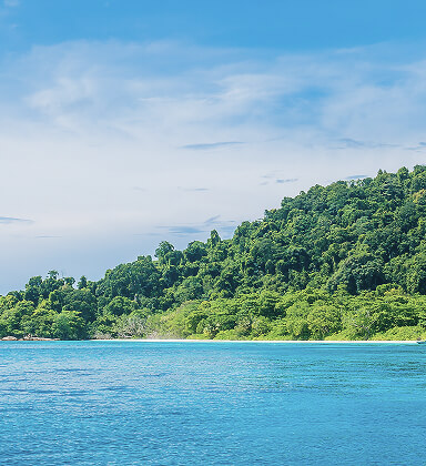 Ảnh đại diện Malawi