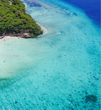 Ảnh đại diện New Caledonia