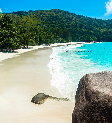 Ảnh đại diện Seychelles