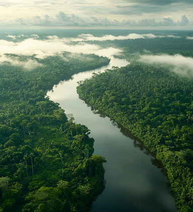 Ảnh đại diện Suriname