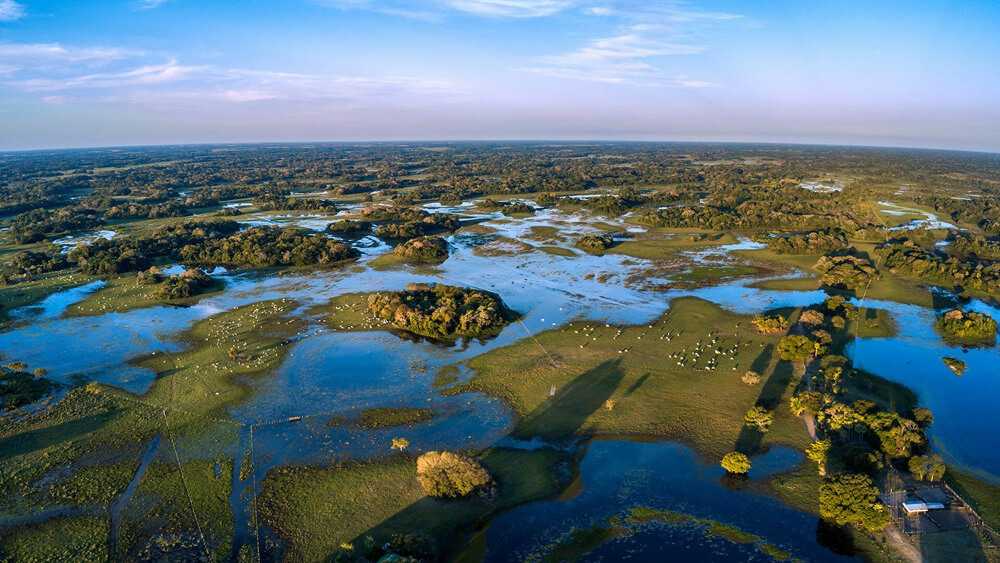 Thành phố Pantanal