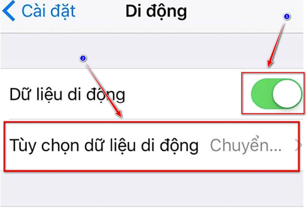 Đăng ký Roaming trên điện thoại iPhone (iOS)