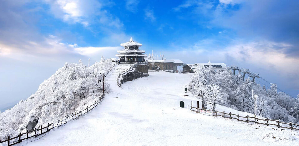 Đi Đảo Jeju lúc vào đông