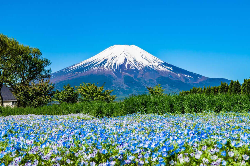 công viên Hananomiyako