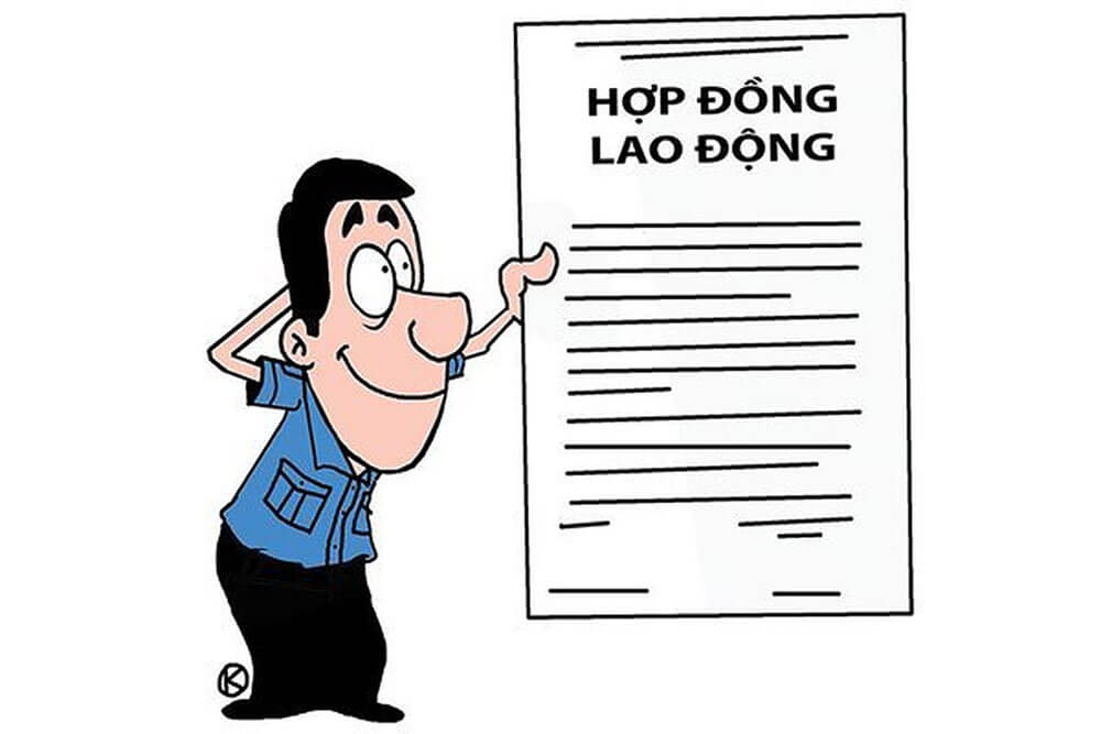 Hồ Sơ Công Việc