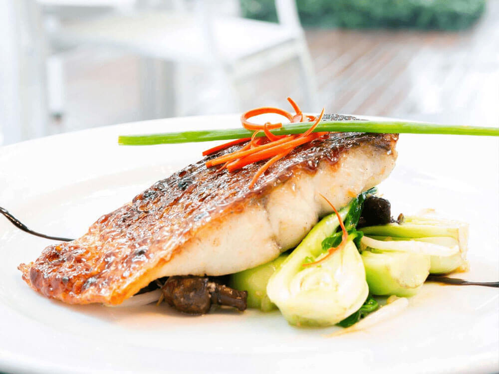 Cá Barramundi