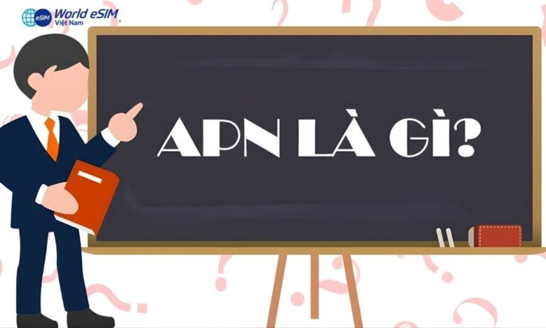 APN là gì