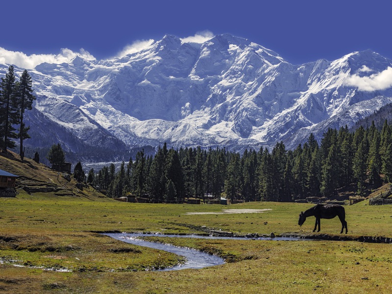 Nanga Parbat kỳ vĩ và đẹp như tranh vẽ giữa núi non Pakistan