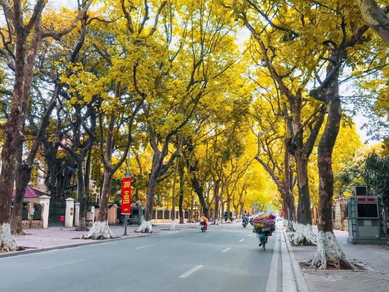 Hà Nội vào thu đẹp dịu dàng và đầy hoài niệm