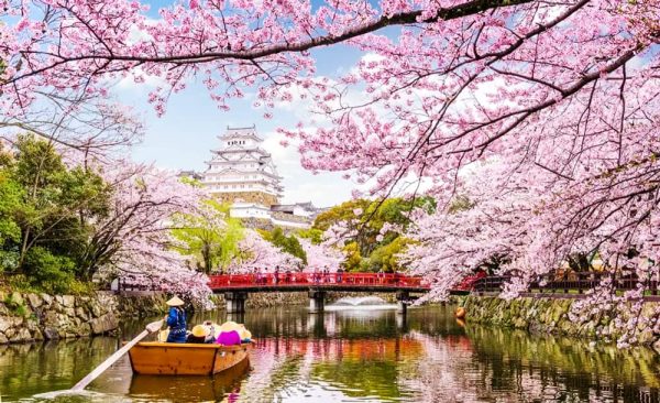 Chọn SIM Nhật Bản theo thời gian lưu trú để có đủ data