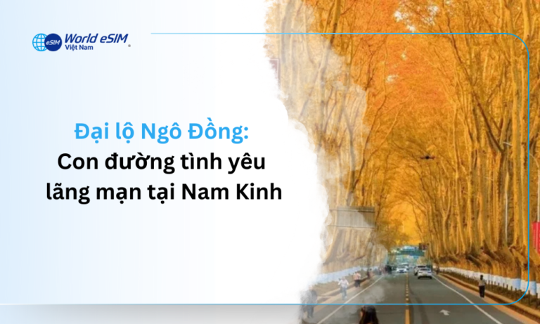 Đại lộ Ngô Đồng Con đường tình yêu lãn mạn tại Nam Kinh