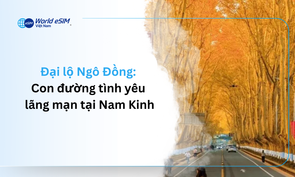 Đại lộ Ngô Đồng Con đường tình yêu lãn mạn tại Nam Kinh