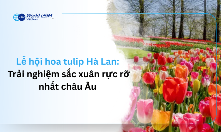 Lễ hội hoa tulip Hà Lan - Trải nghiệm sắc xuân rực rỡ nhất châu Âu