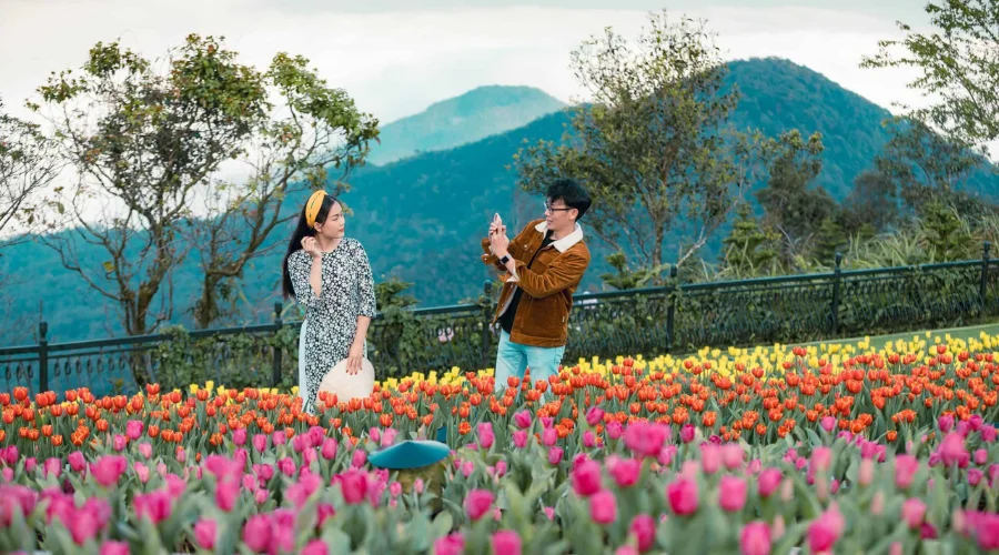 Lịch trình du lịch 4 ngày 3 đêm khám phá lễ hội hoa Tulip