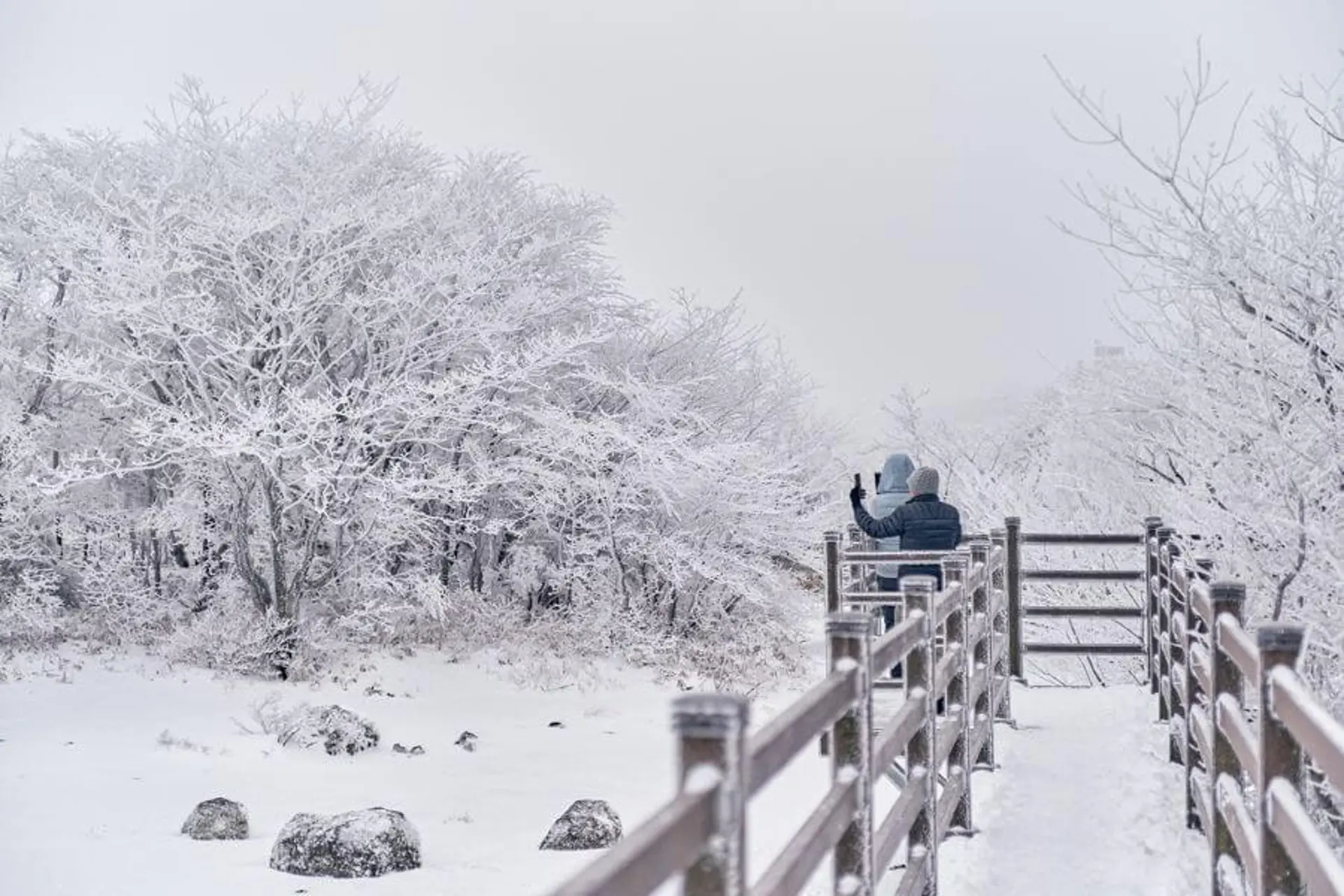 Một số giai đoạn nên tránh đi đảo Jeju