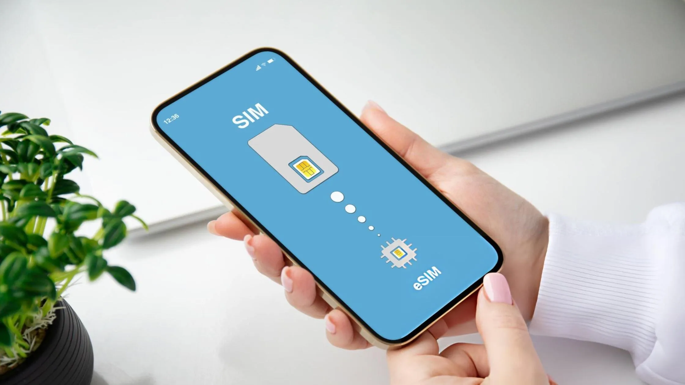 Mua eSIM mới khi muốn đổi eSIM thành SIM vật lý có cần thiết không?
