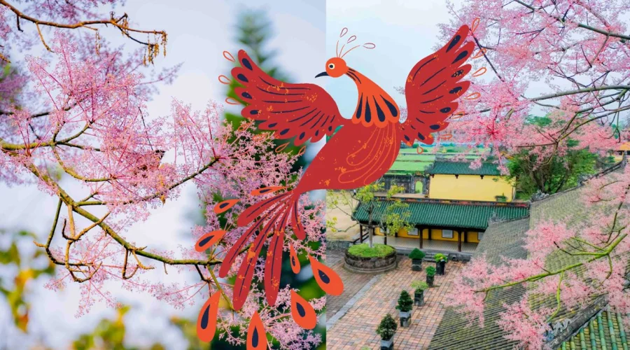 Truyền thuyết cây Ngô Đồng và loài chim Phượng Hoàng